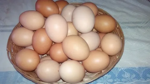 Яйцо куриное